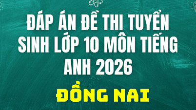 Fasit for opptaksprøven i engelsk i Dong Nai, 10. trinn, 2026.