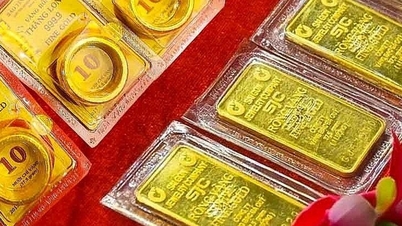 금값이 거의 200만 VND 하락했다.