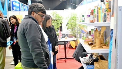 Finding new growth drivers for Vietnamese products.