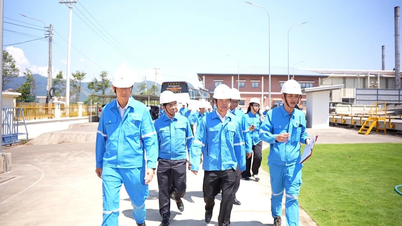 Nguyễn Huu Que, a Tartományi Népi Bizottság alelnöke az Idemitsu Green Energy Vietnam Factory-nál dolgozik.