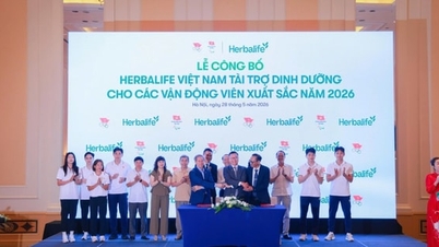 นักกีฬาชาวเวียดนามที่มีผลงานโดดเด่น 150 คน ได้รับการสนับสนุนด้านโภชนาการเพื่อพัฒนาศักยภาพในการแข่งขัน