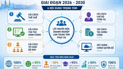 La riforma amministrativa migliora la capacità e l'efficienza gestionale.