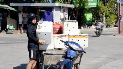 Dokuz bin kişi, kavurucu güneş altında Vinh Pazarı Otobüs Terminali'nde geçimini zorlukla sağlıyor.