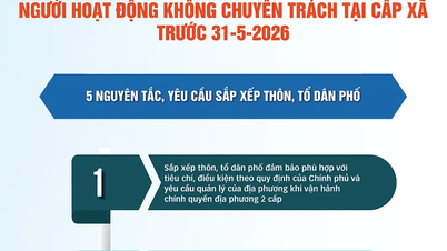 [INFOGRAFIE] Încetarea activităților pentru lucrătorii comunitari cu jumătate de normă înainte de 31 mai 2026