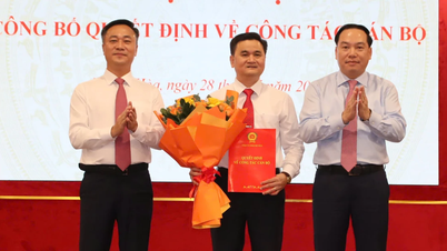 Khanh Hoa continues to strengthen its ranks with many officials.