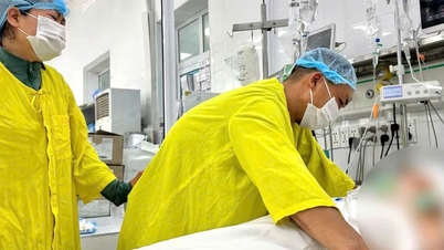 Nach einem Kampf gegen einen Hirntumor verstarb die 19-Jährige und hinterließ den Willen, ihre Organe zu spenden, um Leben zu retten.