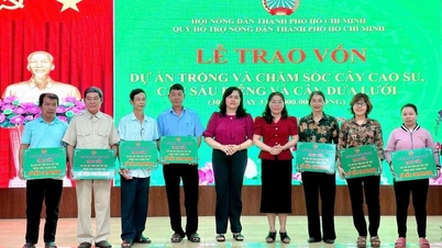 Providing 3 billion VND in loan support to farmers for production development.