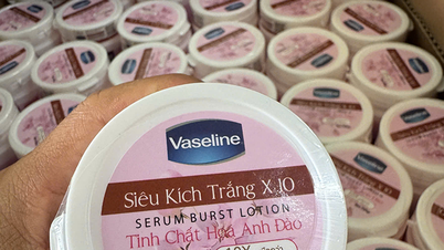 Il Ministero della Salute propone che i responsabili della produzione di cosmetici debbano possedere una laurea universitaria in un settore pertinente.