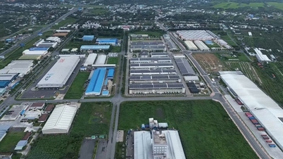 Les 3 principaux comités de gestion de projets à Vinh Long distribuent moins de 20 % des fonds.