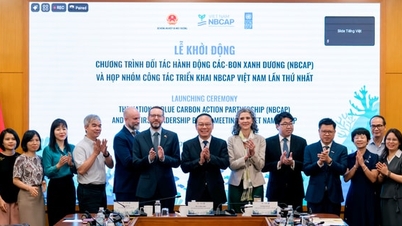 Vietnam podporuje spolupráci v oblasti modrého uhlíku.