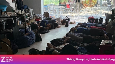 El propietario invitó a 20 trabajadores a su casa para que se tumbaran en una habitación con aire acondicionado en medio del calor de 40 grados centígrados.