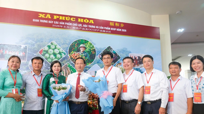 Die Litschi-Produzenten aus Bac Ninh beschleunigen ihre Expansion auf Exportmärkte.