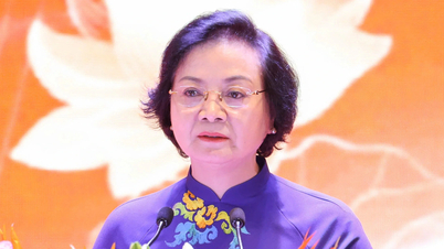 La vice prima ministra Pham Thi Thanh Tra ha dichiarato: "I costi di conformità sono stati ridotti del 55%".