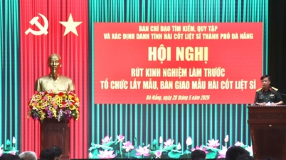Da Nang lernt aus Erfahrung bei der Sammlung von Proben und der Übergabe der Überreste gefallener Soldaten.