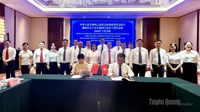 Incontro tra il Dipartimento dell'Industria e del Commercio della provincia di Tuyen Quang e l'Ufficio Commerciale della prefettura di Wenshan.
