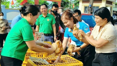 Many practical activities by women in Ha Tinh are geared towards the National Women's Congress.