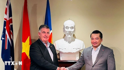 Rafforzare la cooperazione a livello locale tra Vietnam e Australia in diversi settori.