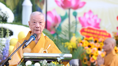 Gli insegnamenti del Buddha sono fonte di vita positiva, fondamento per uno sviluppo sostenibile.