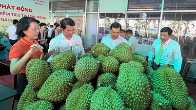 Melancarkan minggu kemuncak penggunaan durian.
