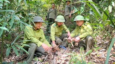 Bac Ninh, en sıcak havaların yaşanacağı dönemden önce ormanları proaktif olarak koruyor.