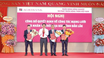 Η Agribank βελτιστοποιεί το δίκτυό της στο Ντακ Λακ - Μια στρατηγική κίνηση για την αξιοποίηση νέων μοχλών ανάπτυξης.