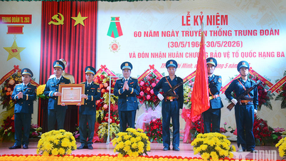 Trung đoàn 263 đón nhận Huân chương Bảo vệ Tổ quốc hạng Ba