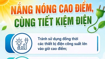 Avoid using multiple high-power devices simultaneously during peak hours.