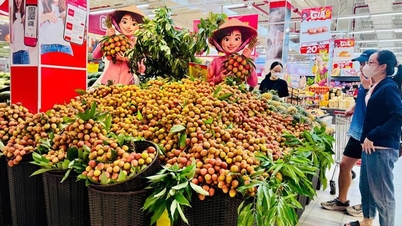 افزایش اثربخشی تبلیغات تجاری برای محصولات کلیدی کشاورزی و محصولات OCOP.