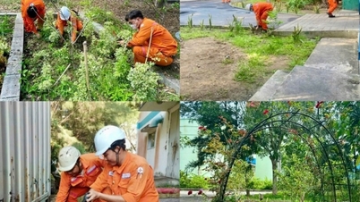 Centrale termoelettrica di Duyen Hai: costruire un ambiente di produzione ecologico, pulito e sicuro.