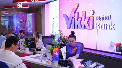 Inspektorat Bank Negara Vietnam: Vikki Bank terjejas teruk oleh kes mega Bank DongA.
