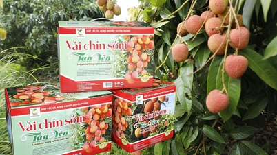 Investire nel packaging aumenta la competitività.