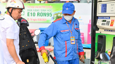 Does E10 gasoline affect car and motorcycle engines?