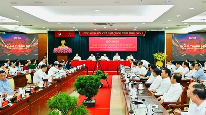 La ciudad de Ho Chi Minh hace un balance de un año de implementación del modelo de gobierno local de dos niveles.