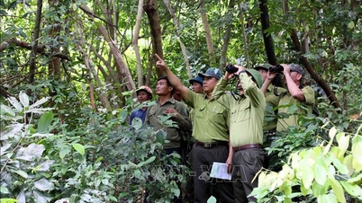 Tay Ninh attua un programma per la conservazione della fauna selvatica in via di estinzione.