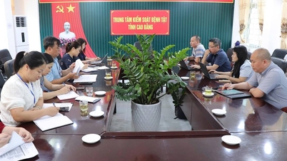 L'Ospedale Polmonare Centrale fornisce supporto per la prevenzione e il controllo della tubercolosi, nonché assistenza tecnica per l'approvvigionamento, la fornitura e l'utilizzo di farmaci antitubercolari a Cao Bang.