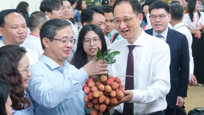 La Cina istituirà dei "corridoi verdi" ai valichi di frontiera per facilitare l'esportazione di litchi da Bac Ninh.