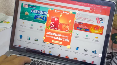 Rivedere e rafforzare la supervisione delle politiche tariffarie delle piattaforme digitali di intermediazione al dettaglio.