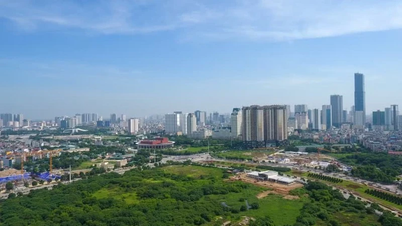 Hướng dẫn cá nhân kê khai, nộp thuế đối với hoạt động cho thuê bất động sản