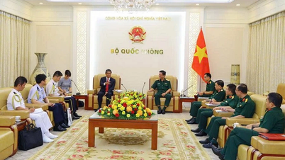 Il Vietnam attribuisce grande importanza al suo partenariato strategico globale con il Giappone.
