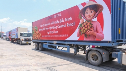 Bac Ninh'den gelen liçiler, modern perakende sistemlerine geniş erişime sahiptir.