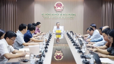 Hệ thống truy xuất nguồn gốc: Nền tảng minh bạch chuỗi nông sản Việt
