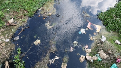 Nel canale sotterraneo di Son Tinh, molti parametri ambientali superano gli standard previsti.