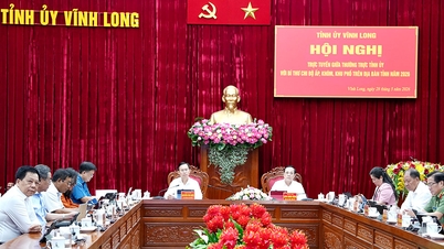 The Standing Committee of the Vinh Long Provincial Party Committee held an online meeting with the secretaries of the Party branches in hamlets, wards, and neighborhoods.
