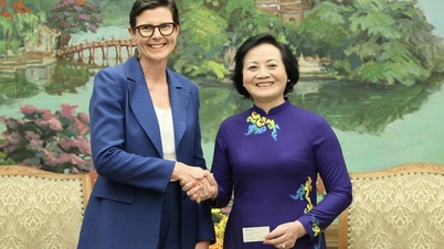 Vietnam - OMS: Priorizar la cooperación en materia de reforma sanitaria, control del tabaco y contaminación atmosférica.