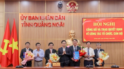 Annuncio della decisione relativa alla nomina dei funzionari, all'istituzione della Sezione del Partito e alla designazione del Comitato del Partito del Consiglio di gestione del progetto di investimento del Quang Ngai occidentale.