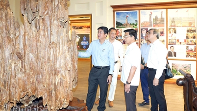 Wakil Ketua Tetap Komite Rakyat Provinsi Nguyen Long Bien bekerja sama dengan para pemimpin Perusahaan Agarwood Khanh Hoa.