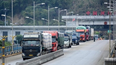 Mengelola kendaraan transportasi yang masuk dan keluar negara melalui platform data digital terpusat.