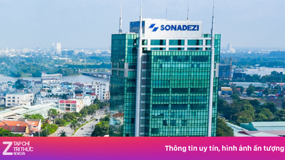Trưởng ban Kiểm soát Sonadezi bị bắt