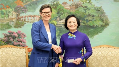 Žádáme WHO, aby i nadále podporovala Vietnam v reformě zdravotnictví a zlepšování veřejného zdraví.