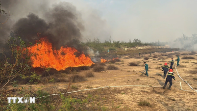 Quang Tri: Upaya mendesak sedang dilakukan untuk memadamkan kebakaran hutan pesisir di komune Quang Ninh.